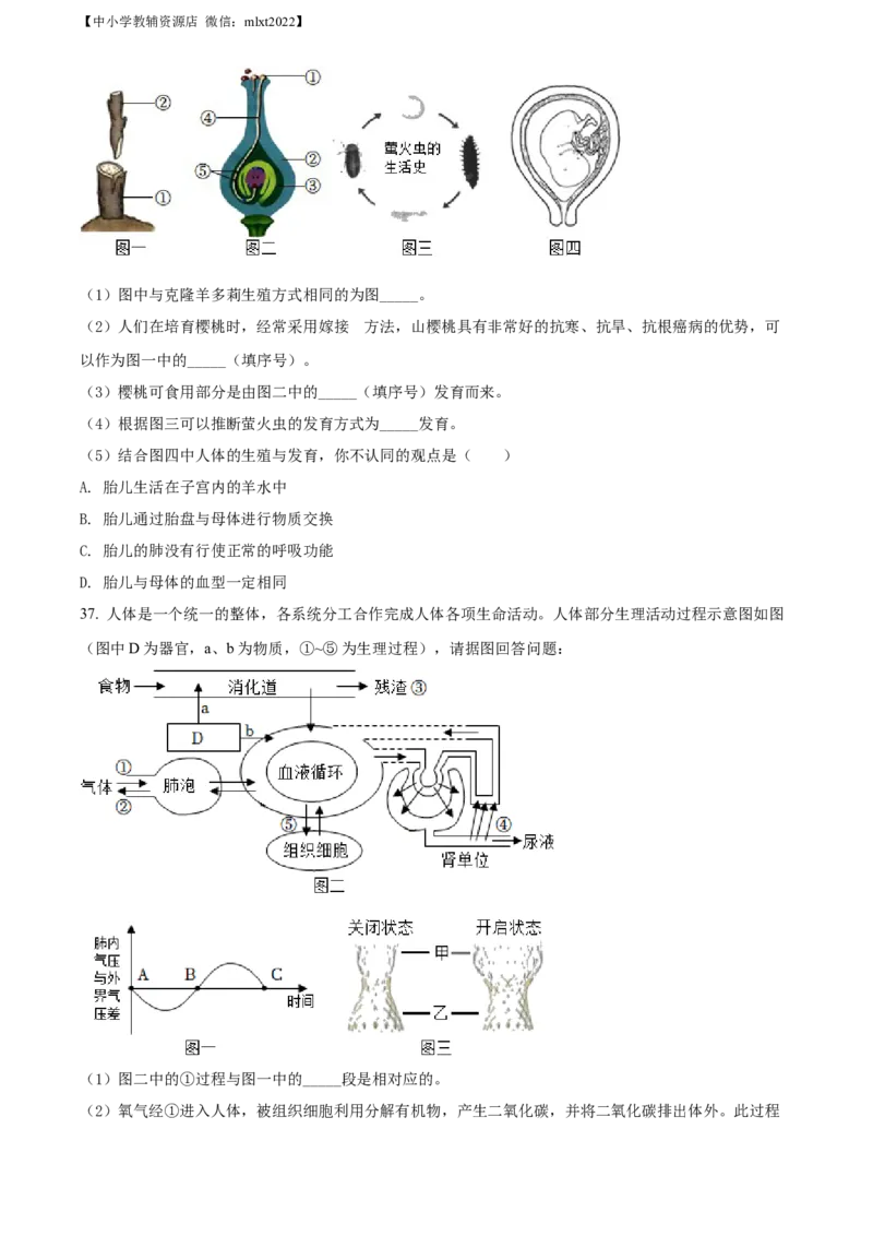 精品解析：2022年湖南省湘潭市中考生物试题（原卷版）_中考真题_8.生物中考真题2015-2024年_2022年全国中考生物114份14