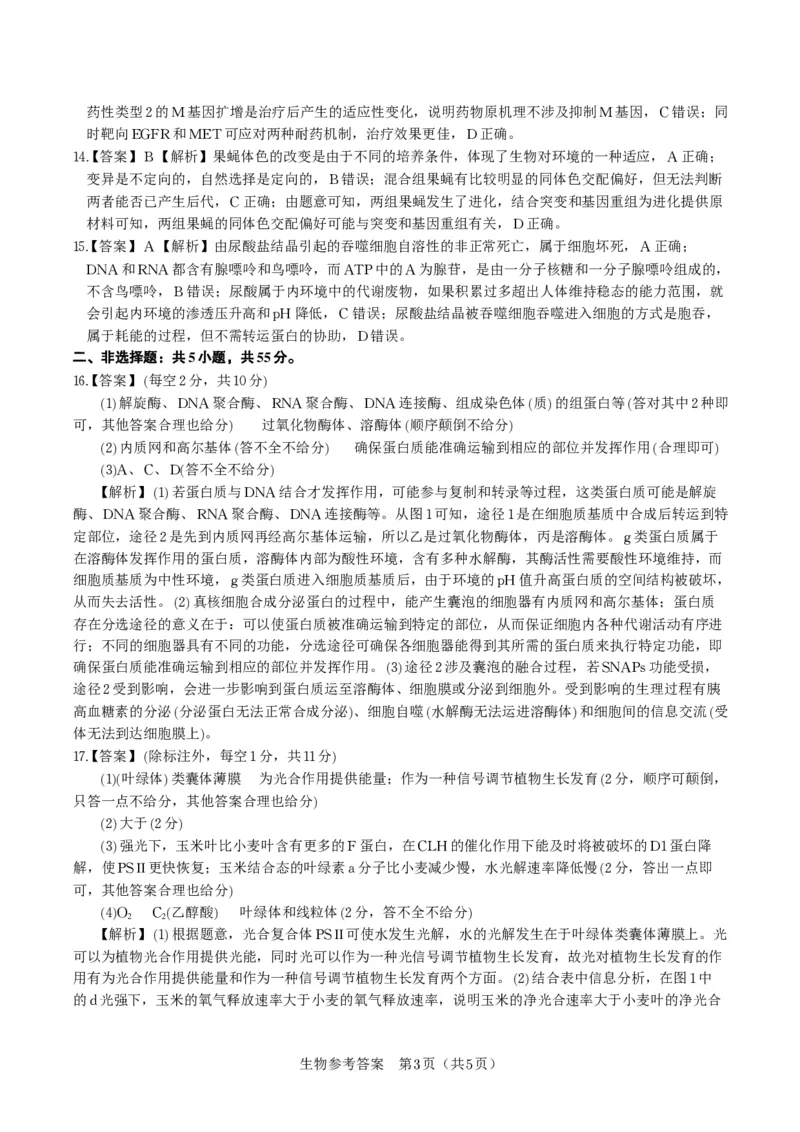 生物答案&middot;2025年12月皖江名校高三联考_2025年12月_251221安徽省皖江名校联盟2025-2026学年高三年级12月质量检测（全科）_答案PDF