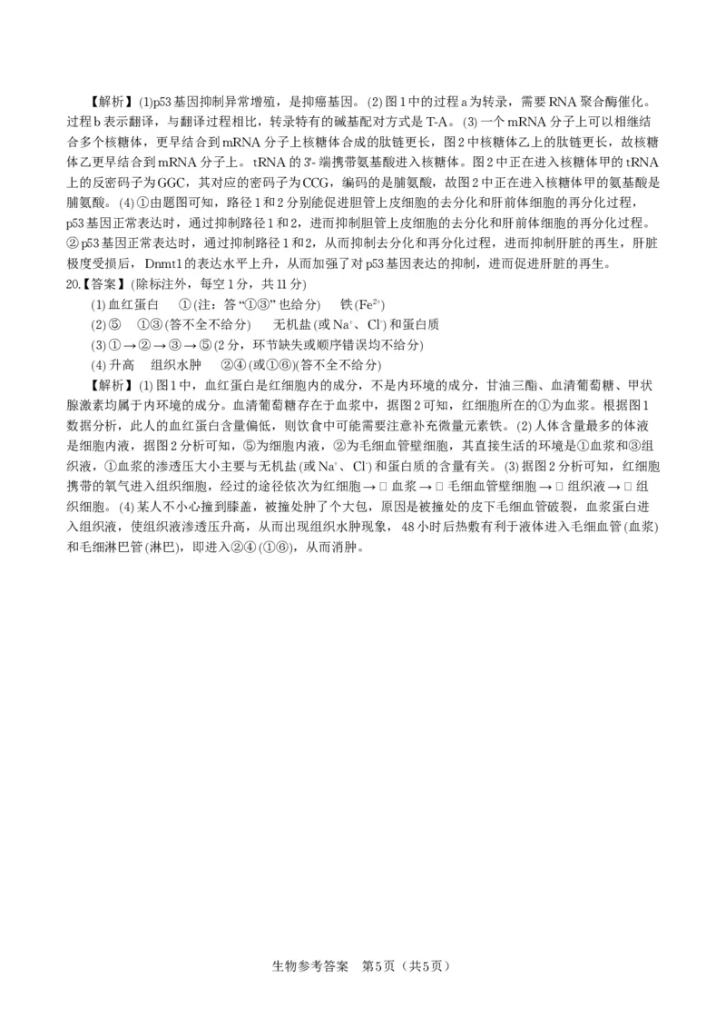 生物答案&middot;2025年12月皖江名校高三联考_2025年12月_251221安徽省皖江名校联盟2025-2026学年高三年级12月质量检测（全科）_答案PDF
