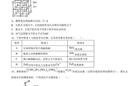 广东省东莞市2024届高三上学期期末考试化学_2024届广东省东莞市高三上学期期末考试