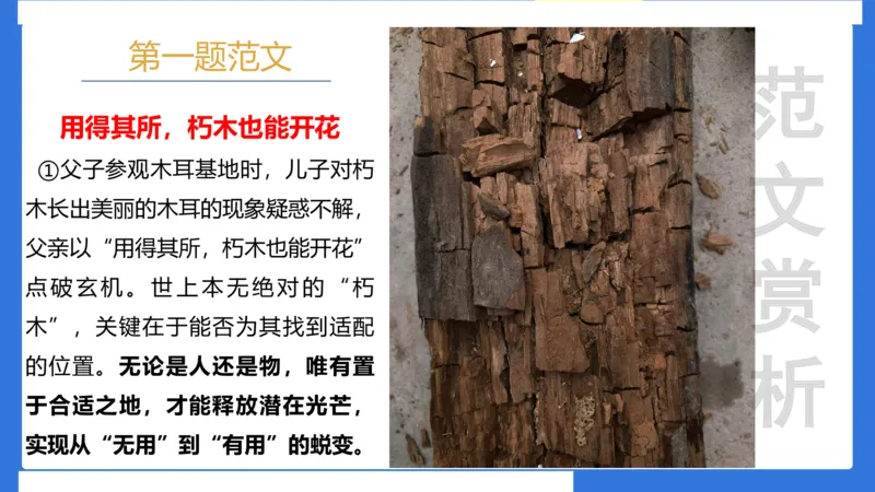 科一考前18篇范文应用_4-教培资料-26年最新资料-同步更新_小学教资_小学冲刺急救包_5.L姨冲刺70分[急救班]_小学冲刺抢分课（25下急救班）_科一_配套讲义