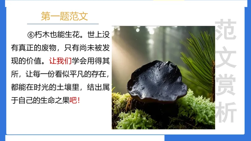 科一考前18篇范文应用_4-教培资料-26年最新资料-同步更新_小学教资_小学冲刺急救包_5.L姨冲刺70分[急救班]_小学冲刺抢分课（25下急救班）_科一_配套讲义