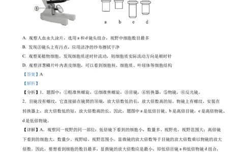 精品解析：2023年湖南省邵阳市中考生物真题（解析版）_中考真题_8.生物中考真题2015-2024年_2023年全国中考生物7.20_精品解析：2023年湖南省邵阳市中考生物真题
