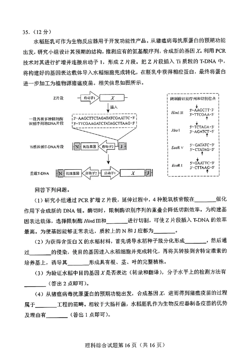 河南省-理综无答案_九省联考更新中_河南（文综理综）_九省联考理综（河南）（含答案）