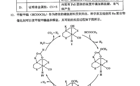 河南省-理综无答案_九省联考更新中_河南（文综理综）_九省联考理综（河南）（含答案）