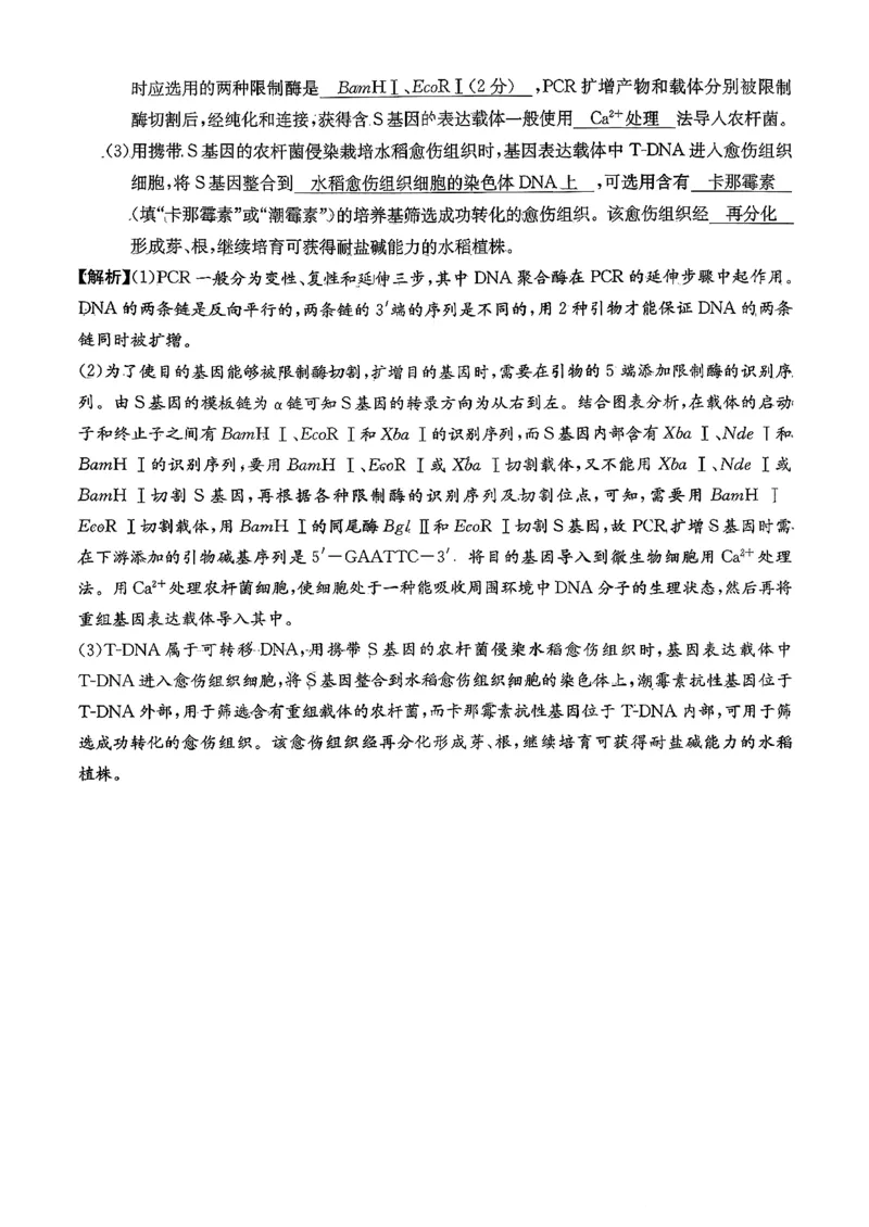 湖南英才大联考雅礼中学2026届高三月考试卷（四）生物学_2025年12月_251217湖南英才大联考雅礼中学2026届高三月考试卷（四）（全科）_湖南雅礼中学2026届高三月考试卷（四）生物