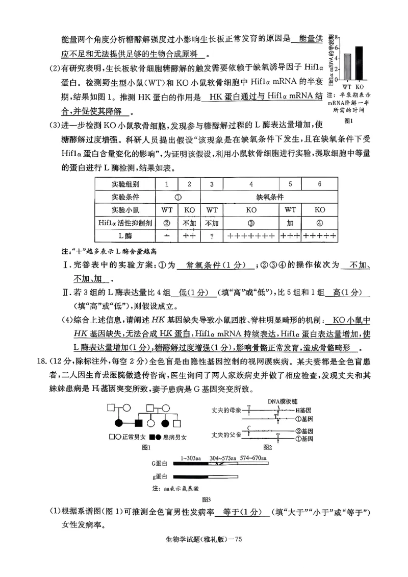 湖南英才大联考雅礼中学2026届高三月考试卷（四）生物学_2025年12月_251217湖南英才大联考雅礼中学2026届高三月考试卷（四）（全科）_湖南雅礼中学2026届高三月考试卷（四）生物