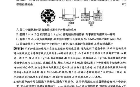 湖南英才大联考雅礼中学2026届高三月考试卷（四）生物学_2025年12月_251217湖南英才大联考雅礼中学2026届高三月考试卷（四）（全科）_湖南雅礼中学2026届高三月考试卷（四）生物