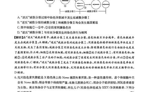 湖南英才大联考雅礼中学2026届高三月考试卷（四）生物学_2025年12月_251217湖南英才大联考雅礼中学2026届高三月考试卷（四）（全科）_湖南雅礼中学2026届高三月考试卷（四）生物