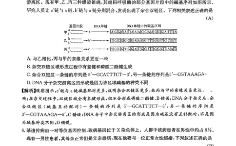 湖南英才大联考雅礼中学2026届高三月考试卷（四）生物学_2025年12月_251217湖南英才大联考雅礼中学2026届高三月考试卷（四）（全科）_湖南雅礼中学2026届高三月考试卷（四）生物