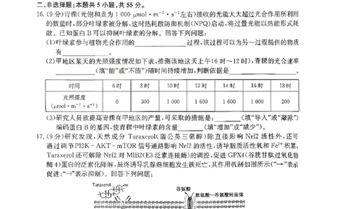 生物试卷-安徽省耀正优2026届高三年级12月名校阶段检测联考_2025年12月_251219安徽省耀正优+2026届高三年级12月名校阶段检测联考（全科）