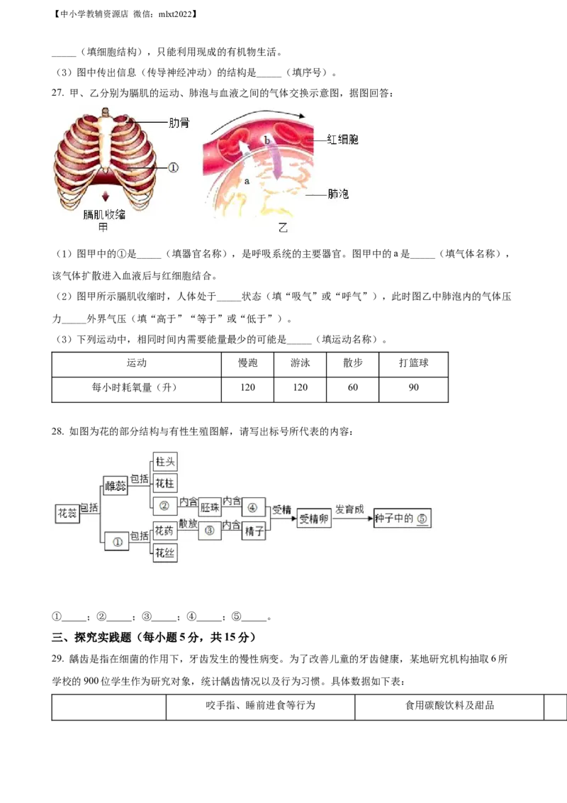 精品解析：2022年湖南省长沙市中考生物真题（原卷版）_中考真题_8.生物中考真题2015-2024年_2022年全国中考生物114份14