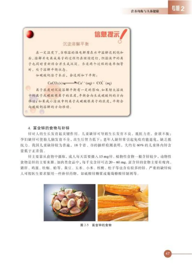 苏教版高中化学选修1化学与生活_4-教培资料-26年最新资料-同步更新_初中高中教资_03科三专项（进去保存报考的学科即可）_02科三专项（笔记真题思维导图教学设计版本二）