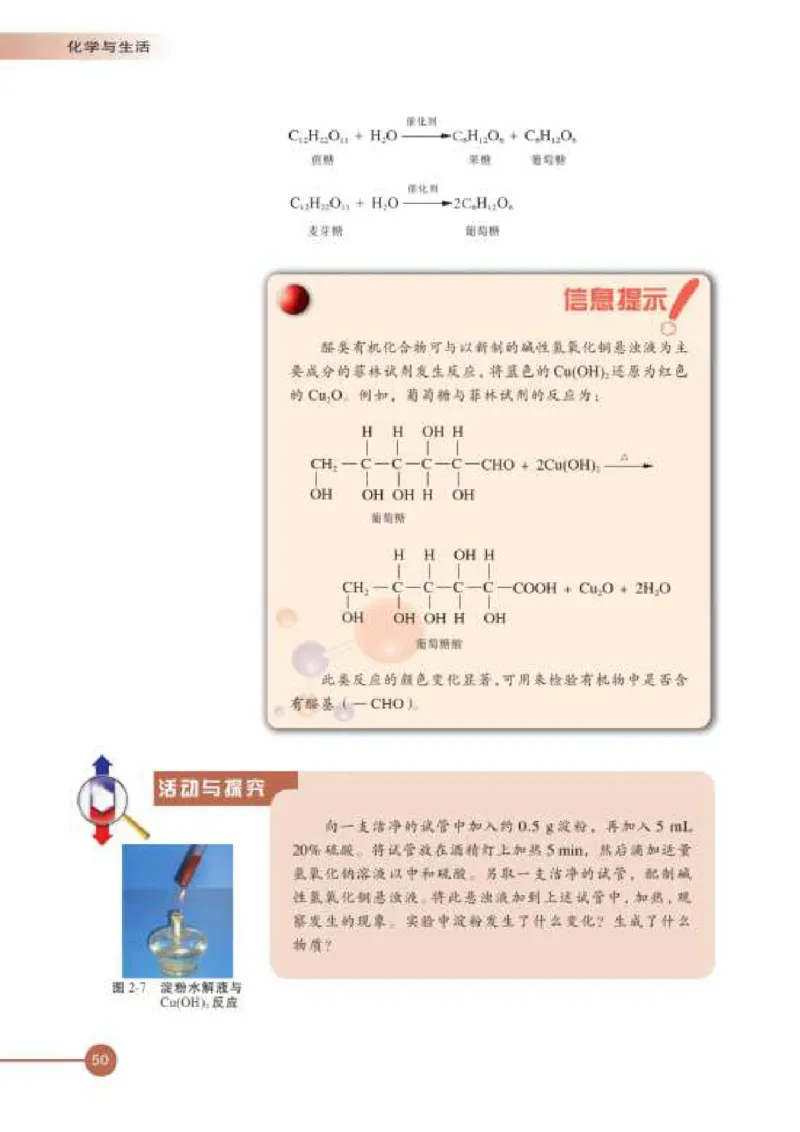 苏教版高中化学选修1化学与生活_4-教培资料-26年最新资料-同步更新_初中高中教资_03科三专项（进去保存报考的学科即可）_02科三专项（笔记真题思维导图教学设计版本二）