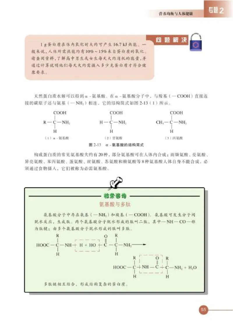 苏教版高中化学选修1化学与生活_4-教培资料-26年最新资料-同步更新_初中高中教资_03科三专项（进去保存报考的学科即可）_02科三专项（笔记真题思维导图教学设计版本二）