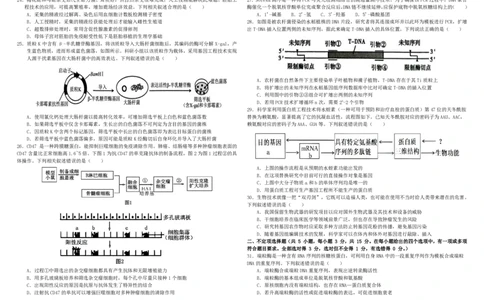 高二下期末考试生物试题_2025年7月_250717黑龙江省哈尔滨市师范大学附属中学2024-2025学年高二下学期7月期末考试（全科）