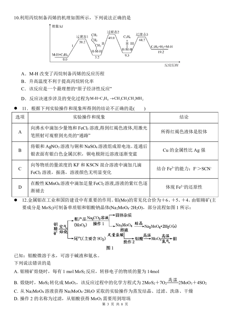 化学试卷_2025年11月_251112湖南省衡阳市第八中学2026届高三上学期期中考试（全科）_湖南省衡阳市第八中学2026届高三上学期期中考试化学试题PDF版含答案