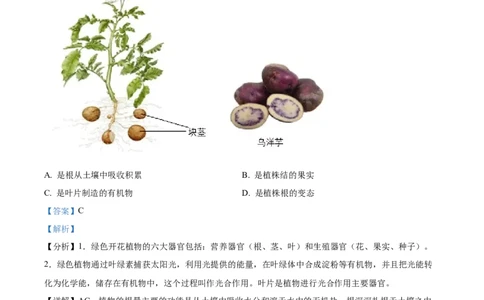 精品解析：2023年四川省凉山彝族自治州中考生物真题（解析版）_中考真题_8.生物中考真题2015-2024年_2023年全国中考生物7.20_精品解析：2023年四川省凉山彝族自治州中考生物真题