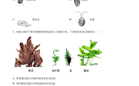 精品解析：2023年湖北省鄂州市中考生物真题（原卷版）_中考真题_8.生物中考真题2015-2024年_2023年全国中考生物7.20_精品解析：2023年湖北省鄂州市中考生物真题