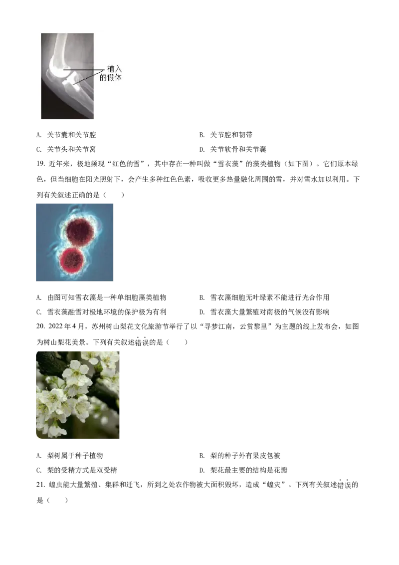 精品解析：2022年江苏省苏州市中考生物真题（原卷版）_中考真题_8.生物中考真题2015-2024年_2022年全国中考生物114份14