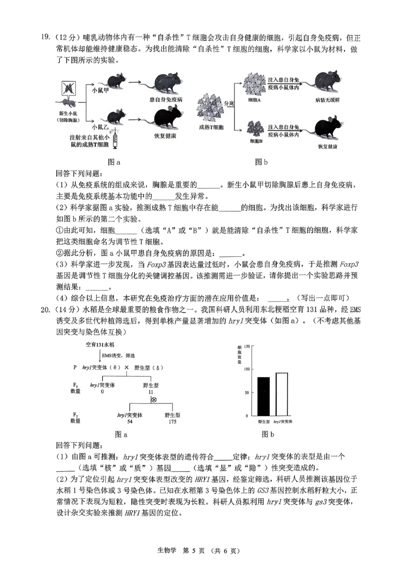 生物试卷-广东省2026届普通高中毕业班第二次调研考试_2025年12月_251205广东省光大联考2026届普通高中毕业班第二次调研考试（全科）