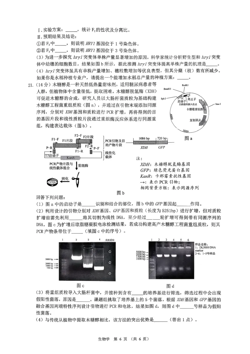 生物试卷-广东省2026届普通高中毕业班第二次调研考试_2025年12月_251205广东省光大联考2026届普通高中毕业班第二次调研考试（全科）