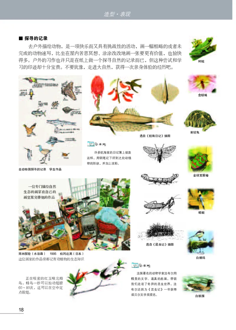 苏少版7年级美术上册高清教材_4-教培资料-26年最新资料-同步更新_初中高中教资_03科三专项（进去保存报考的学科即可）_02科三专项（笔记真题思维导图教学设计版本二）