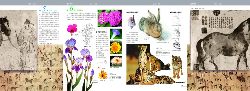 苏少版7年级美术上册高清教材_4-教培资料-26年最新资料-同步更新_初中高中教资_03科三专项（进去保存报考的学科即可）_02科三专项（笔记真题思维导图教学设计版本二）