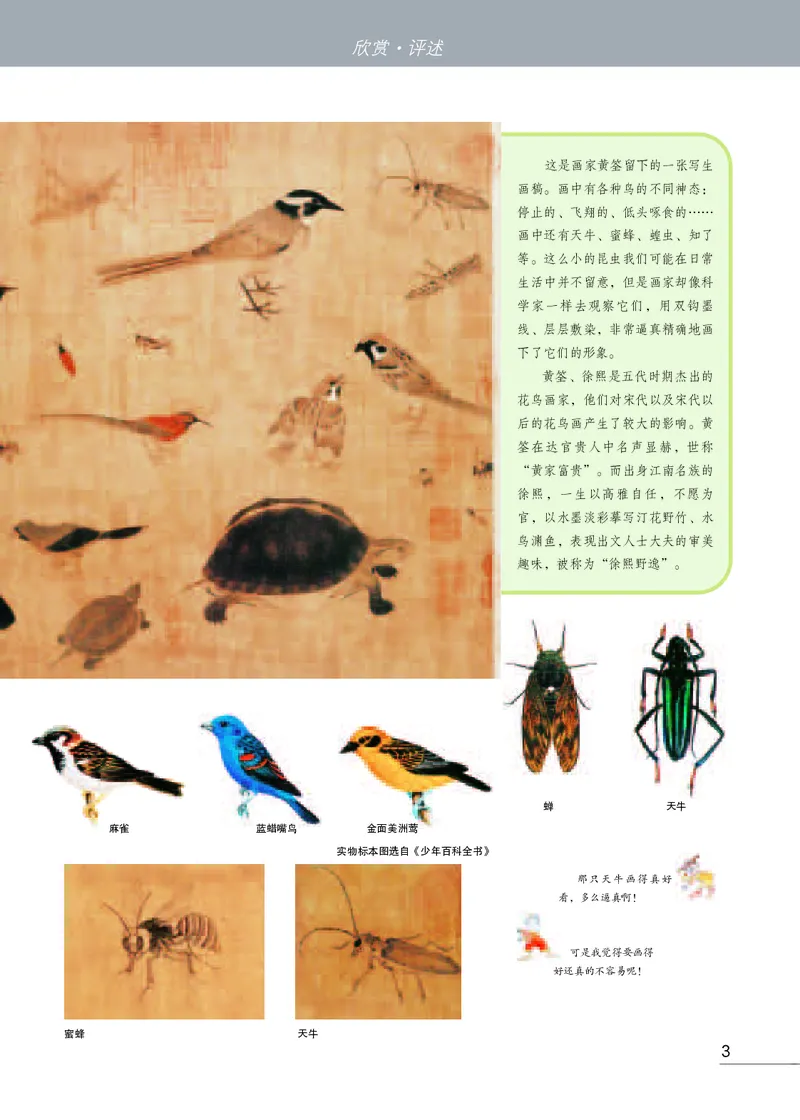 苏少版7年级美术上册高清教材_4-教培资料-26年最新资料-同步更新_初中高中教资_03科三专项（进去保存报考的学科即可）_02科三专项（笔记真题思维导图教学设计版本二）