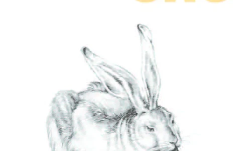 苏少版7年级美术上册高清教材_4-教培资料-26年最新资料-同步更新_初中高中教资_03科三专项（进去保存报考的学科即可）_02科三专项（笔记真题思维导图教学设计版本二）