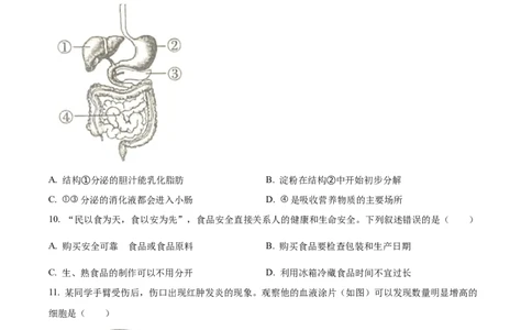 精品解析：2023年四川省成都市中考生物真题（原卷版）_中考真题_8.生物中考真题2015-2024年_2023年全国中考生物7.20_精品解析：2023年四川省成都市中考生物真题