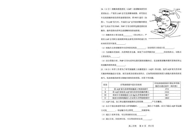 辽宁省重点中学协作校2024-2025学年高二下学期期末考试生物试题（含答案）_2025年7月_250717辽宁省重点中学协作校2024-2025学年高二下学期期末考试（全科）