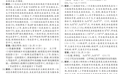 甘肃省一月份高考诊断考试&middot;生物参考答案_2024届甘肃省高三上学期1月份高考诊断考试（甘肃一诊）_甘肃省2024届高三上学期1月份高考诊断考试（甘肃一诊）生物