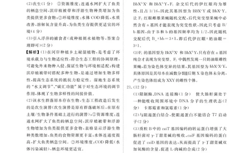 高三12月生物答案_2025年12月_251224广东省衡水金卷2025-2026学年高三上学期12月联考（全科）_广东省衡水金卷2025-2026学年高三上学期12月月考生物试题（含答案）
