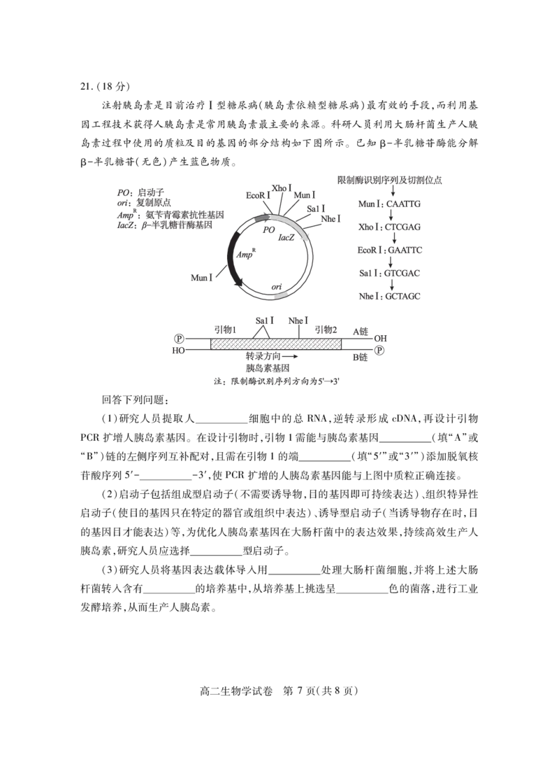 高二生物学_2025年7月_250715湖北省襄阳市2025年7月高二期末统一调研测试（全科）_生物