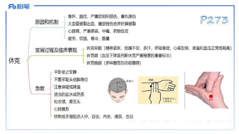 理论精讲14-体育保健学4-百川(2)(1)_4-教培资料-26年最新资料-同步更新_初中高中教资_03科三专项（进去保存报考的学科即可）_01科目三FB网课、三色速记手册、知识点导图等推荐