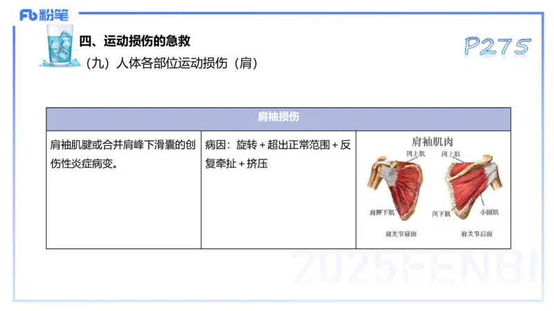 理论精讲14-体育保健学4-百川(2)(1)_4-教培资料-26年最新资料-同步更新_初中高中教资_03科三专项（进去保存报考的学科即可）_01科目三FB网课、三色速记手册、知识点导图等推荐
