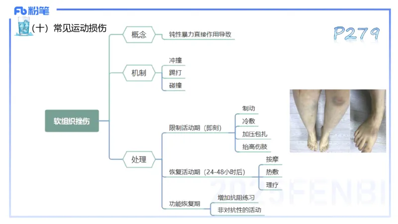 理论精讲14-体育保健学4-百川(2)(1)_4-教培资料-26年最新资料-同步更新_初中高中教资_03科三专项（进去保存报考的学科即可）_01科目三FB网课、三色速记手册、知识点导图等推荐