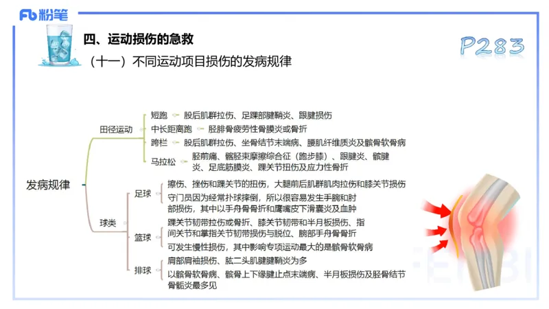 理论精讲14-体育保健学4-百川(2)(1)_4-教培资料-26年最新资料-同步更新_初中高中教资_03科三专项（进去保存报考的学科即可）_01科目三FB网课、三色速记手册、知识点导图等推荐