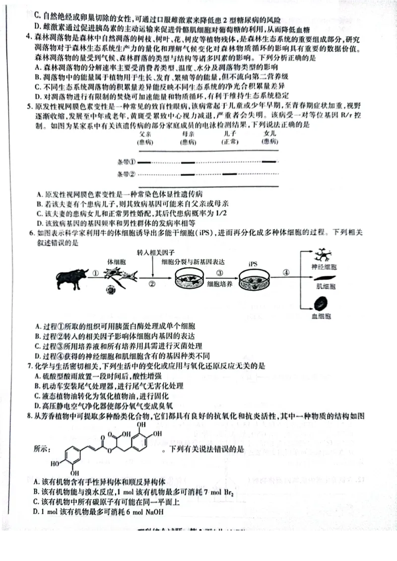 天一大联考顶尖联盟2024届高三阶段性测试（二）理综_2024届天一大联考顶尖联盟高三阶段性测试（二）（新教材老高考）