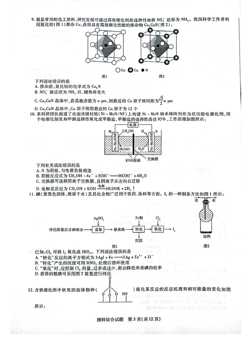 天一大联考顶尖联盟2024届高三阶段性测试（二）理综_2024届天一大联考顶尖联盟高三阶段性测试（二）（新教材老高考）