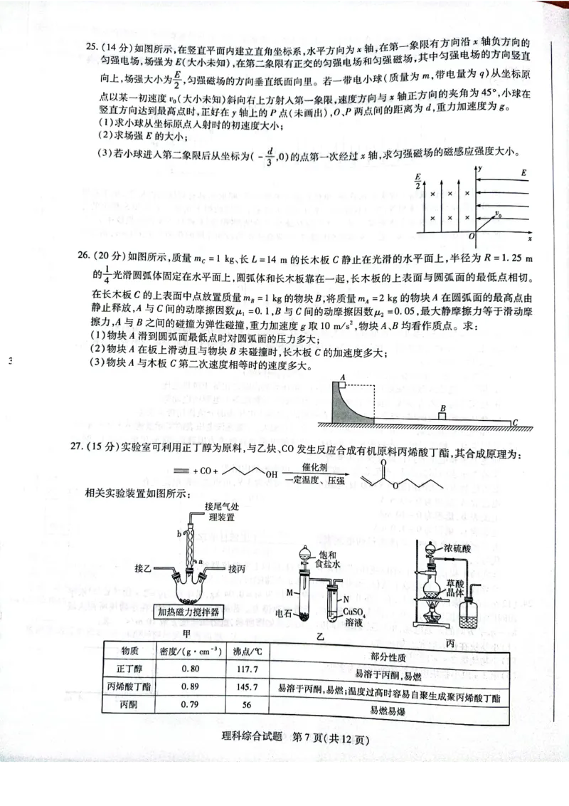 天一大联考顶尖联盟2024届高三阶段性测试（二）理综_2024届天一大联考顶尖联盟高三阶段性测试（二）（新教材老高考）
