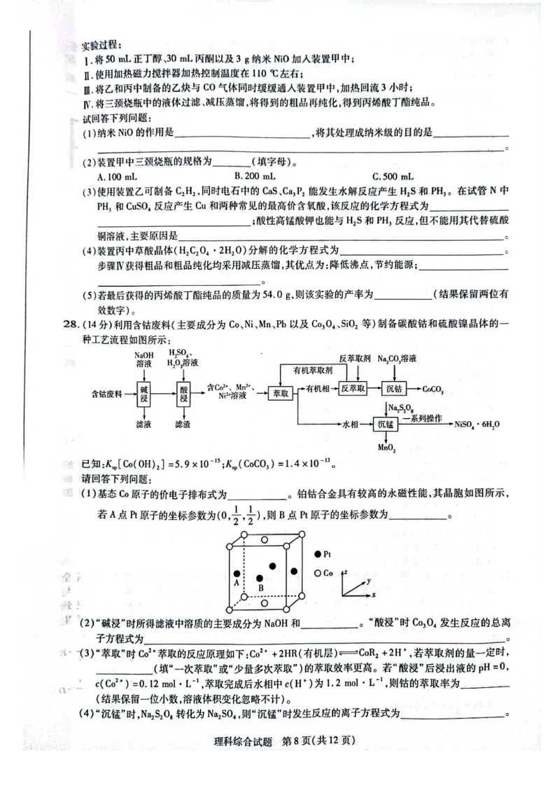 天一大联考顶尖联盟2024届高三阶段性测试（二）理综_2024届天一大联考顶尖联盟高三阶段性测试（二）（新教材老高考）