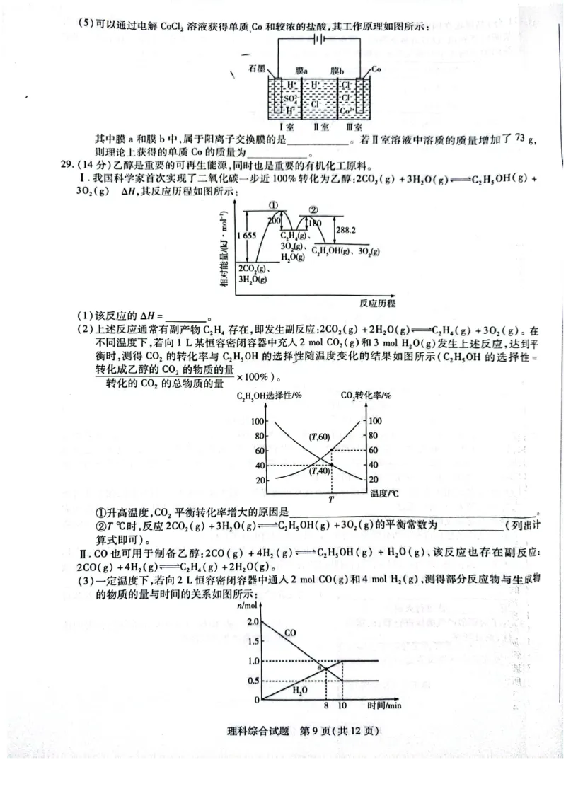 天一大联考顶尖联盟2024届高三阶段性测试（二）理综_2024届天一大联考顶尖联盟高三阶段性测试（二）（新教材老高考）