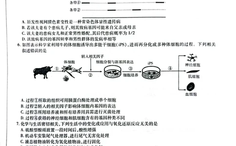 天一大联考顶尖联盟2024届高三阶段性测试（二）理综_2024届天一大联考顶尖联盟高三阶段性测试（二）（新教材老高考）