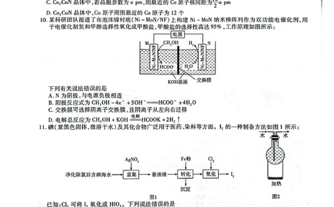 天一大联考顶尖联盟2024届高三阶段性测试（二）理综_2024届天一大联考顶尖联盟高三阶段性测试（二）（新教材老高考）