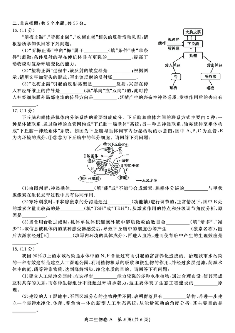 生物学试题卷A-高二下7月期末联考_2025年7月_250707安徽省皖江名校联盟2025年7月高二期末联考（全科）