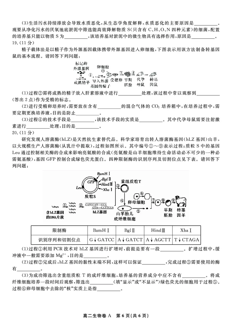 生物学试题卷A-高二下7月期末联考_2025年7月_250707安徽省皖江名校联盟2025年7月高二期末联考（全科）