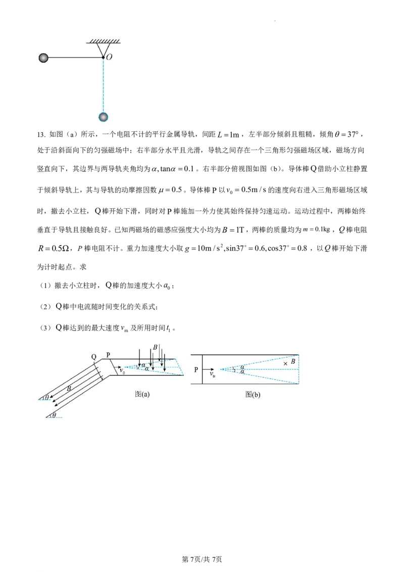 物理（九省联考●河南卷）丨2024年1月普通高等学校招生全国统一考试适应性测试物理试卷及答案_九省联考多版本