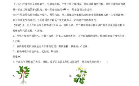精品解析：2023年湖南省岳阳市中考生物真题（解析版）(1)_中考真题_8.生物中考真题2015-2024年_2023年全国中考生物7.20_精品解析：2023年湖南省岳阳市中考生物真题